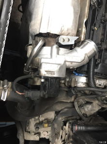 全面呵护，焕新出发 成都3008大养护全记录